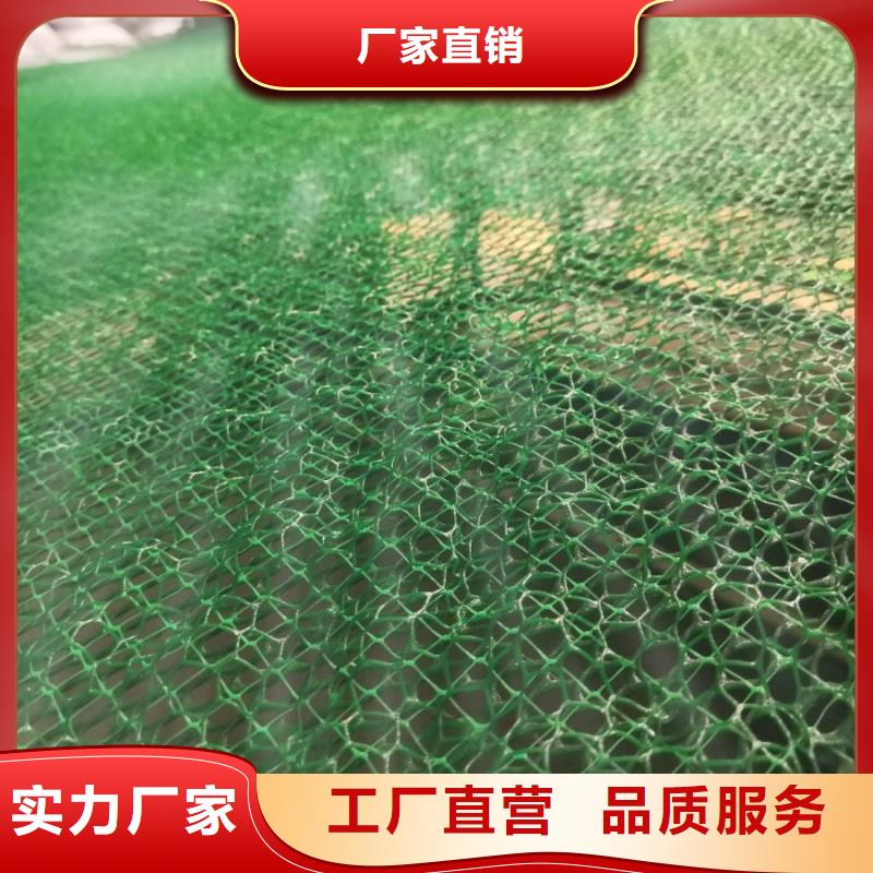 【三维植被网】涤纶格栅快速发货