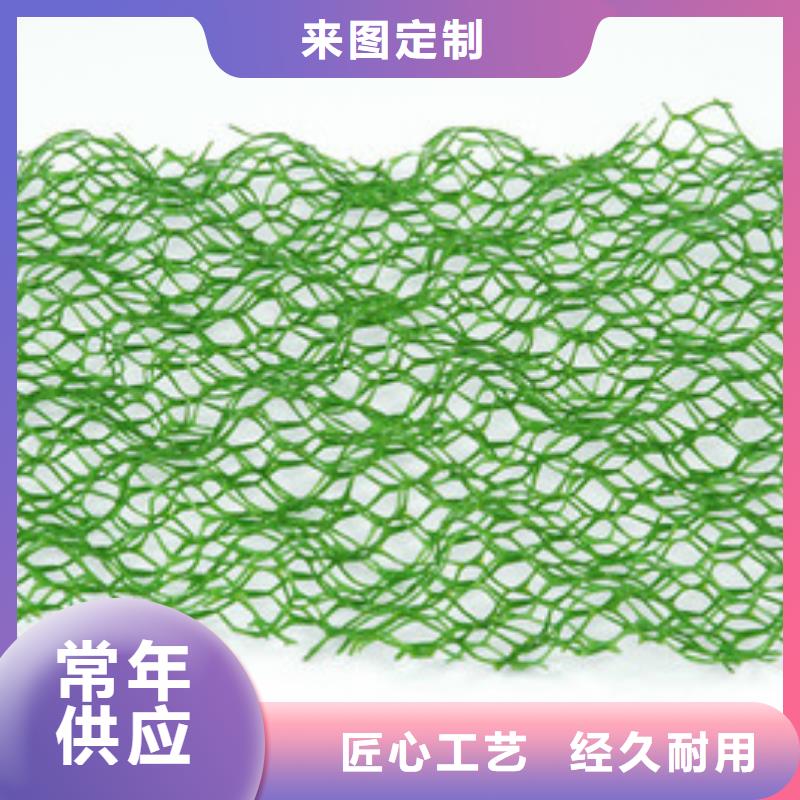三维植被网复合土工膜实拍品质保障