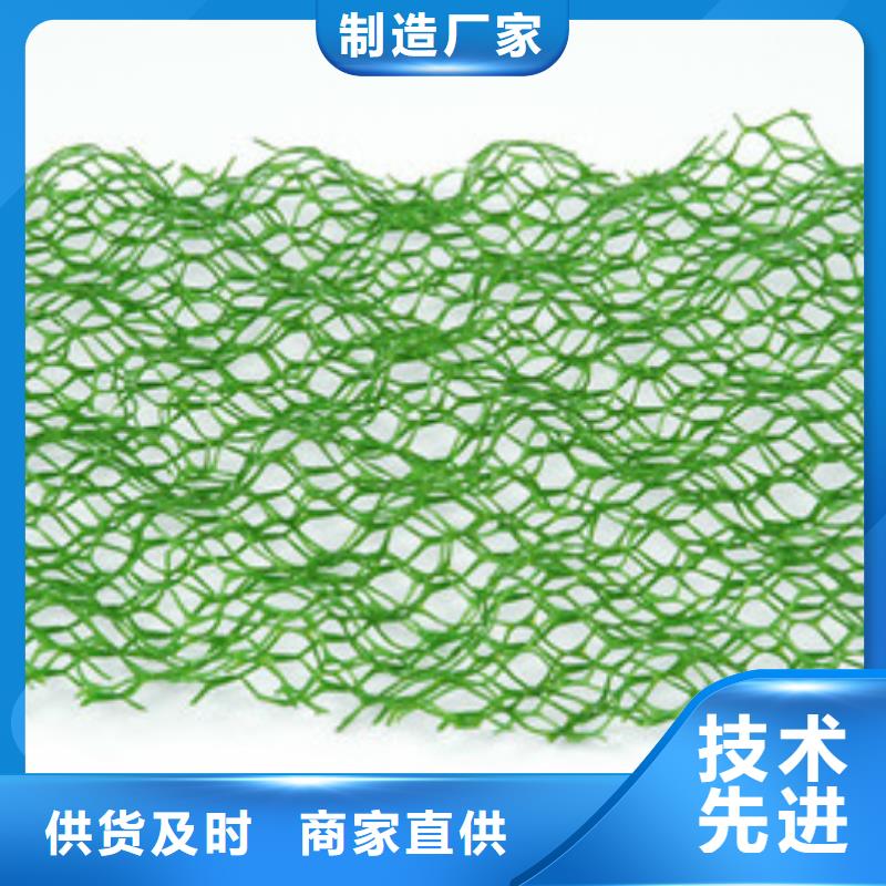 三维植被网玻纤土工格栅生产型