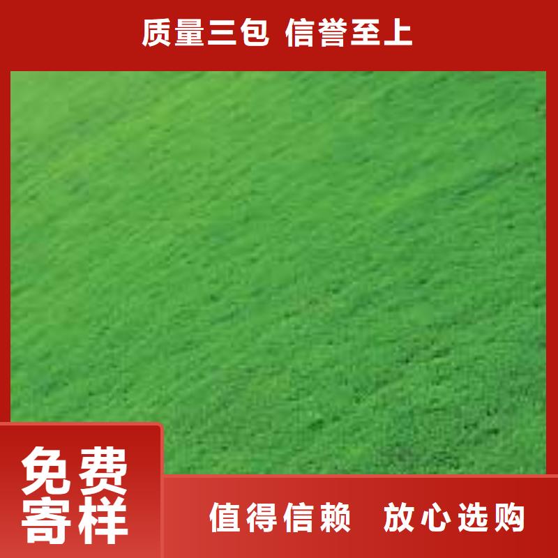 【三维植被网】_单向塑料格栅量少也做