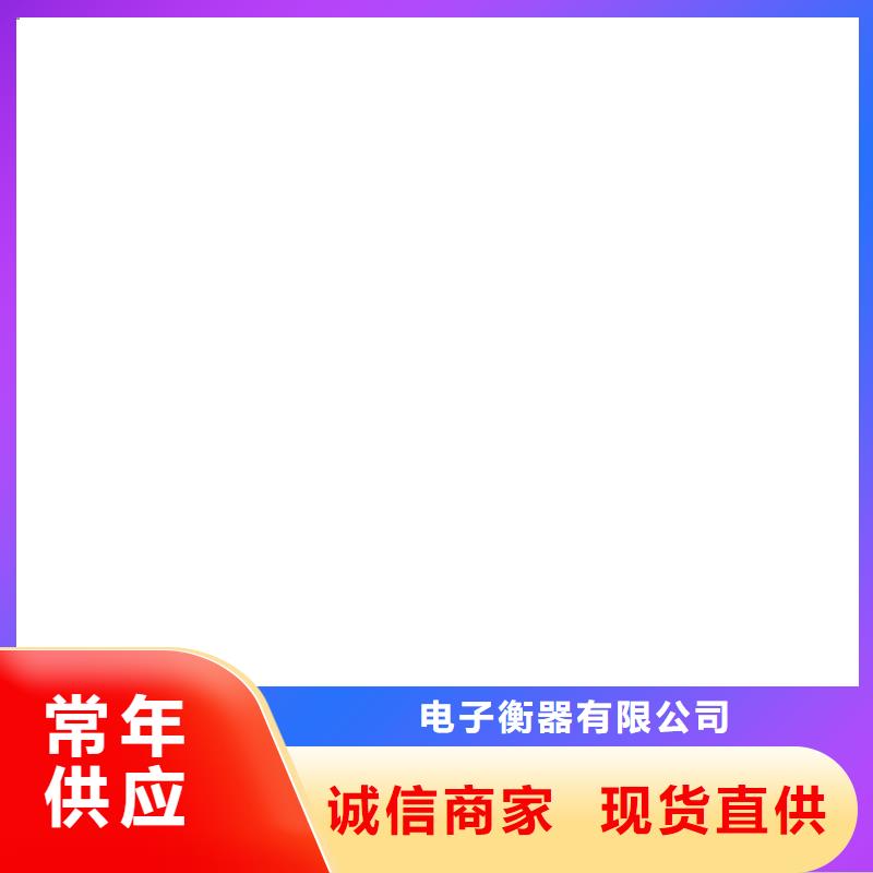 【地磅仪表】,铲车秤源厂供货 电子衡器(湘潭市分公司)