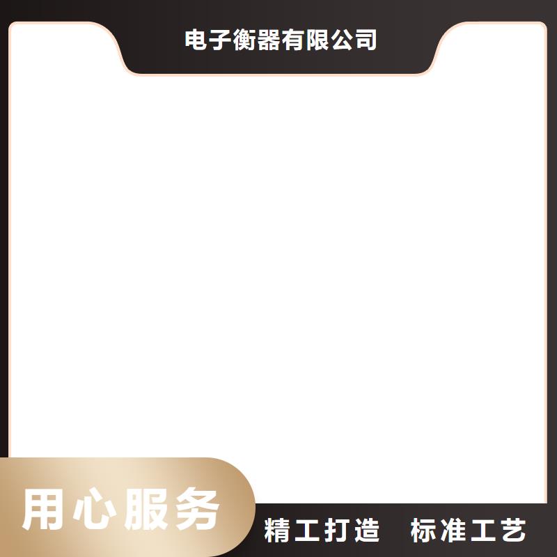 电子吊秤视频-电子吊秤|定西市|安定|岷县|武威|酒泉|兰州|陇南|甘南|临夏|天水