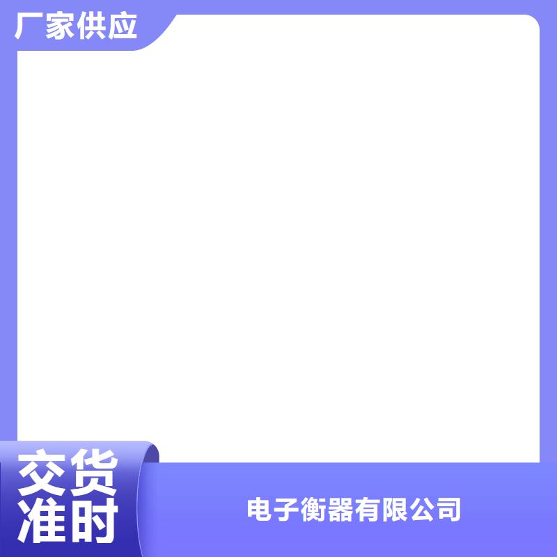 电子皮带秤电子台秤实体诚信经营