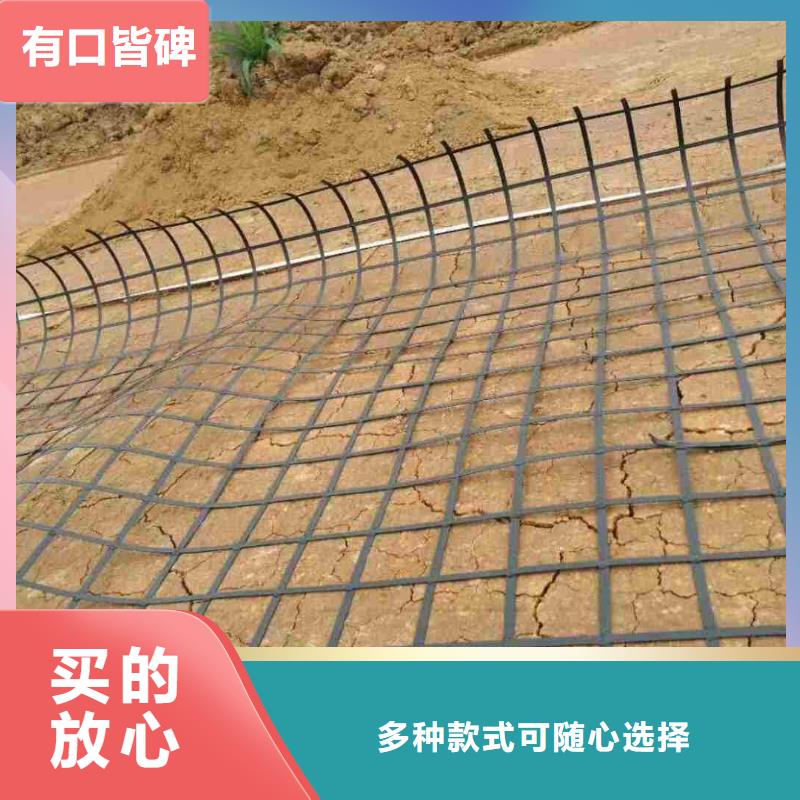 钢塑土工格栅-双向塑料土工格栅专业生产团队