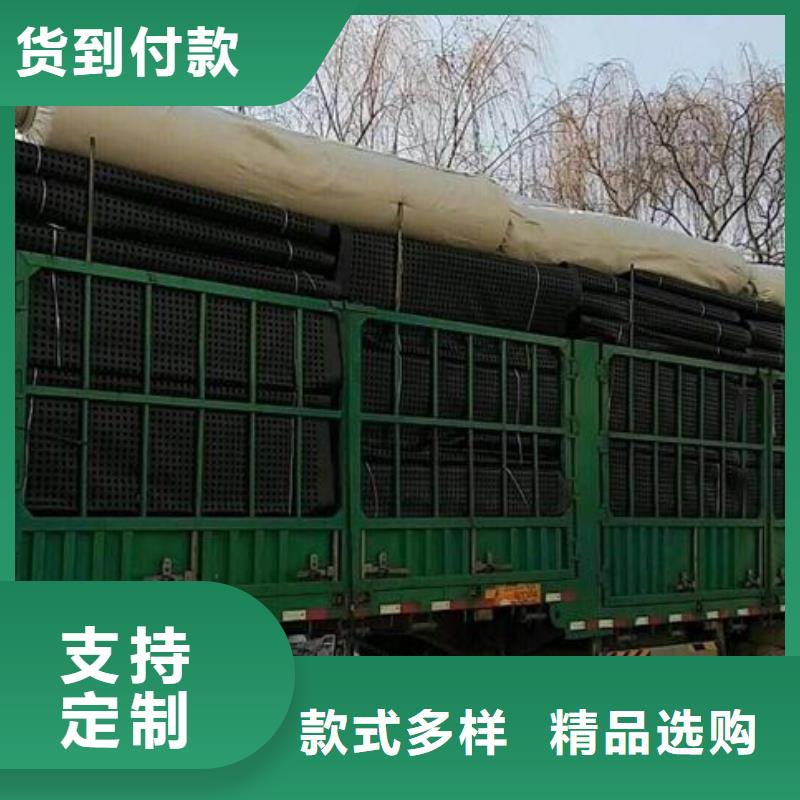 钢塑土工格栅涤纶土工格栅匠心制造