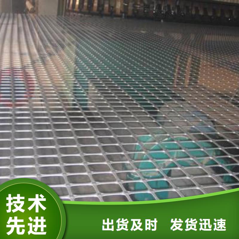 【双向塑料土工格栅】,毛细排水板免费询价