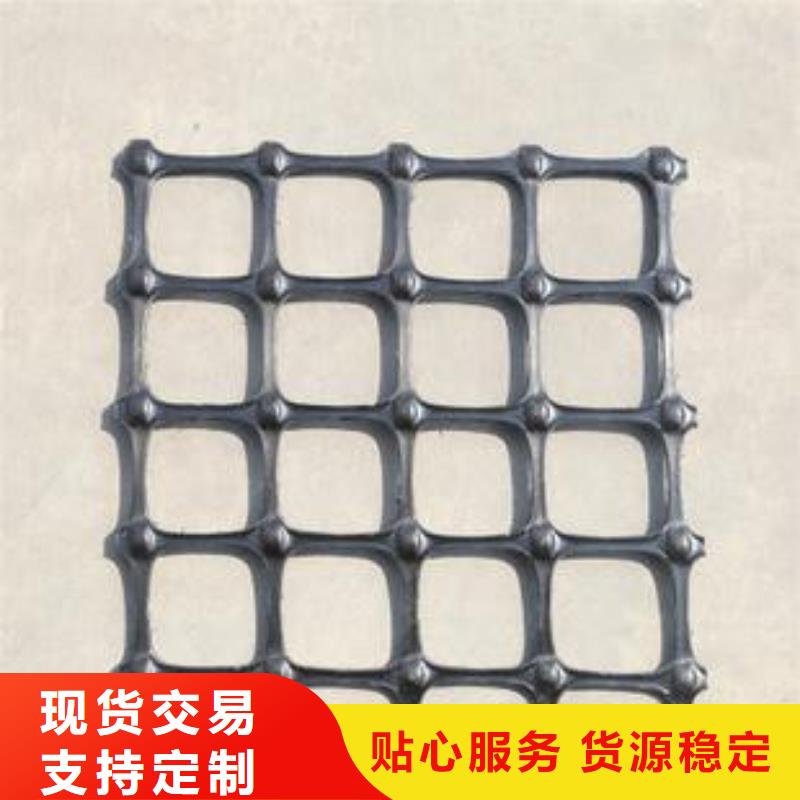 双向塑料土工格栅长丝土工布实地大厂