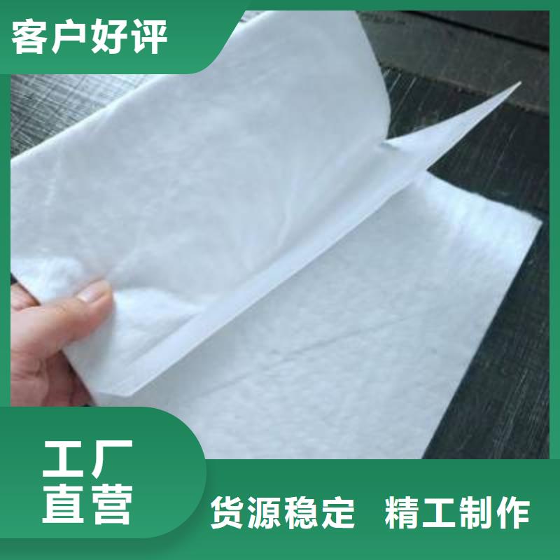 土工膜单向塑料土工格栅快速报价