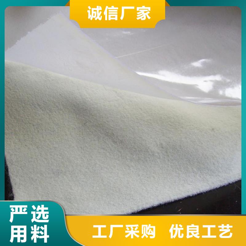 土工膜涤纶土工格栅欢迎来厂考察