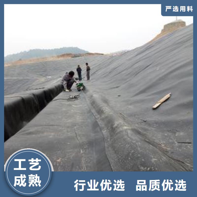 土工膜-【单向拉伸塑料格栅】重信誉厂家