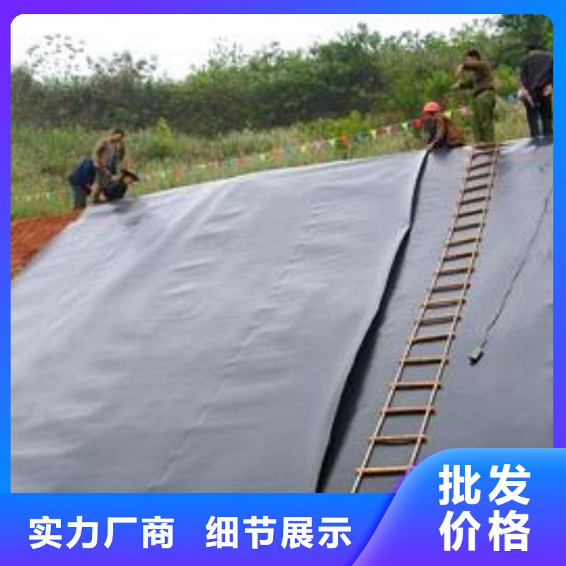 土工膜-护坡土工网多年厂家可靠