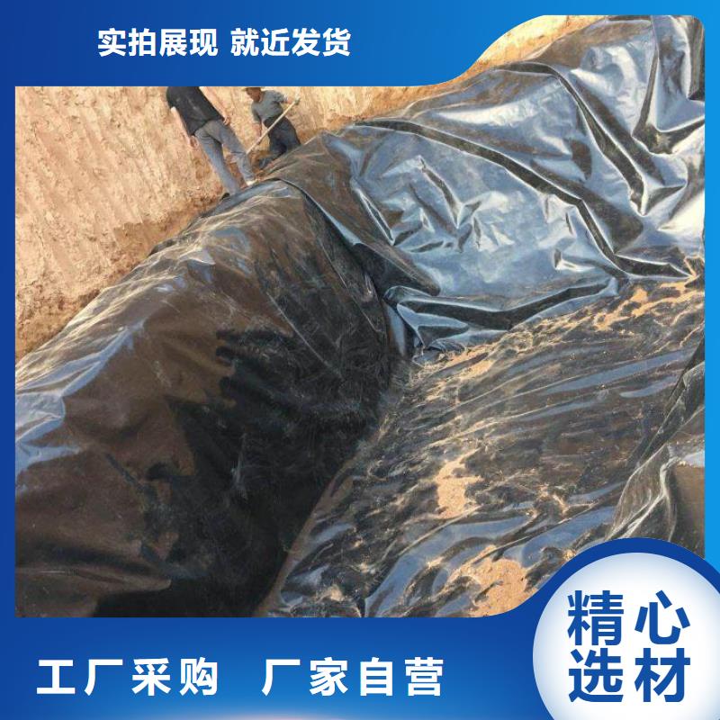 土工膜土工格栅价格实惠工厂直供