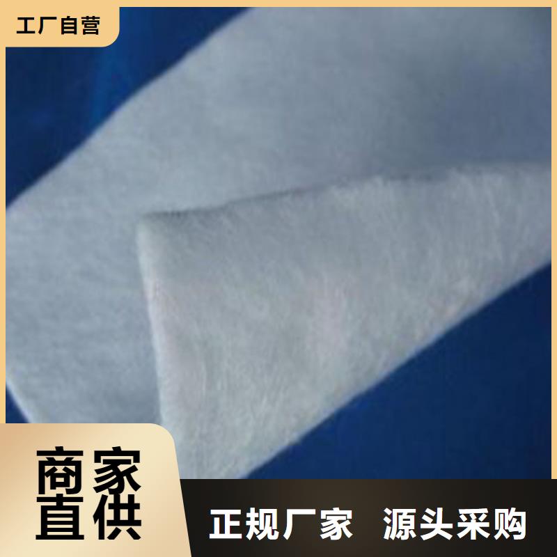【土工布】-水土保护毯货源足质量好今日价格