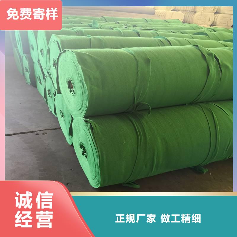 土工布凸结点钢塑土工格栅精心选材