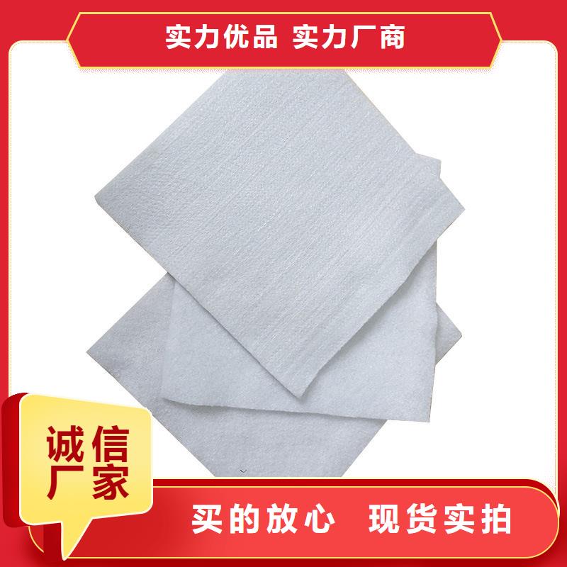 土工布膨润土防水垫闪电发货