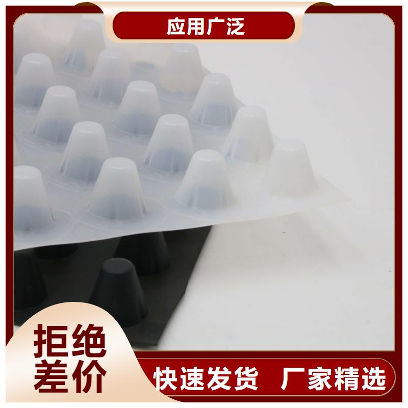 蓄排水板单向塑料土工格栅批发商