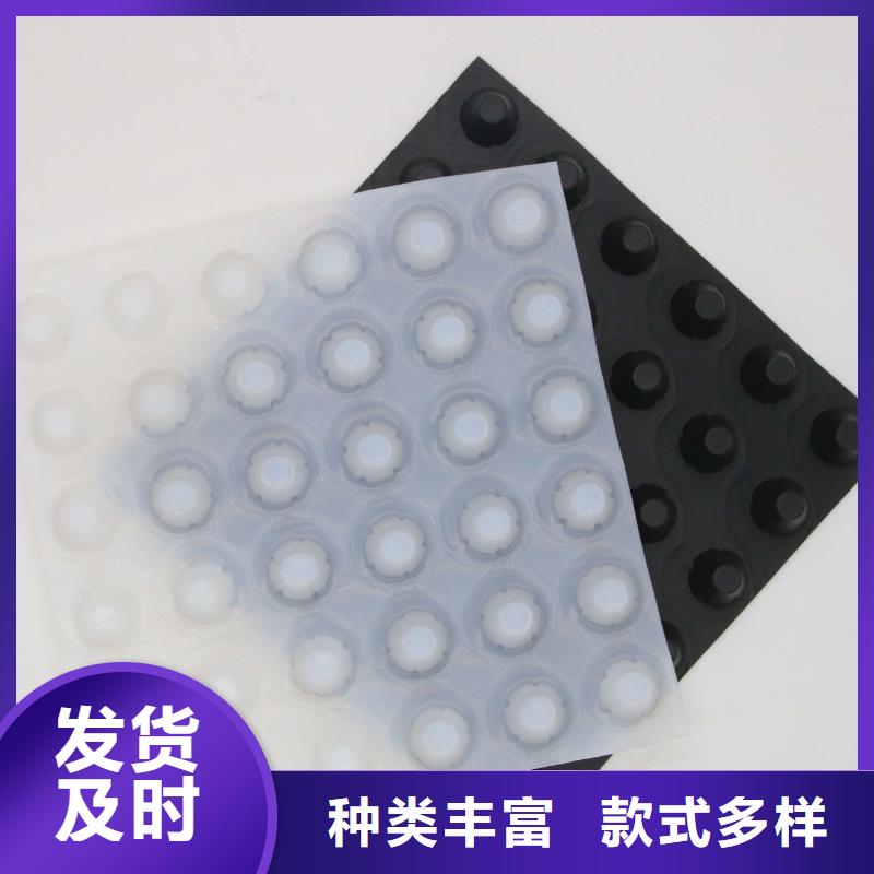 蓄排水板,【三维植被网】厂家货源-鼎诺土工材料(嘉兴市分公司)
