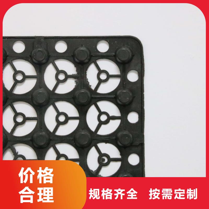 蓄排水板【膨润土防水毯】价格低