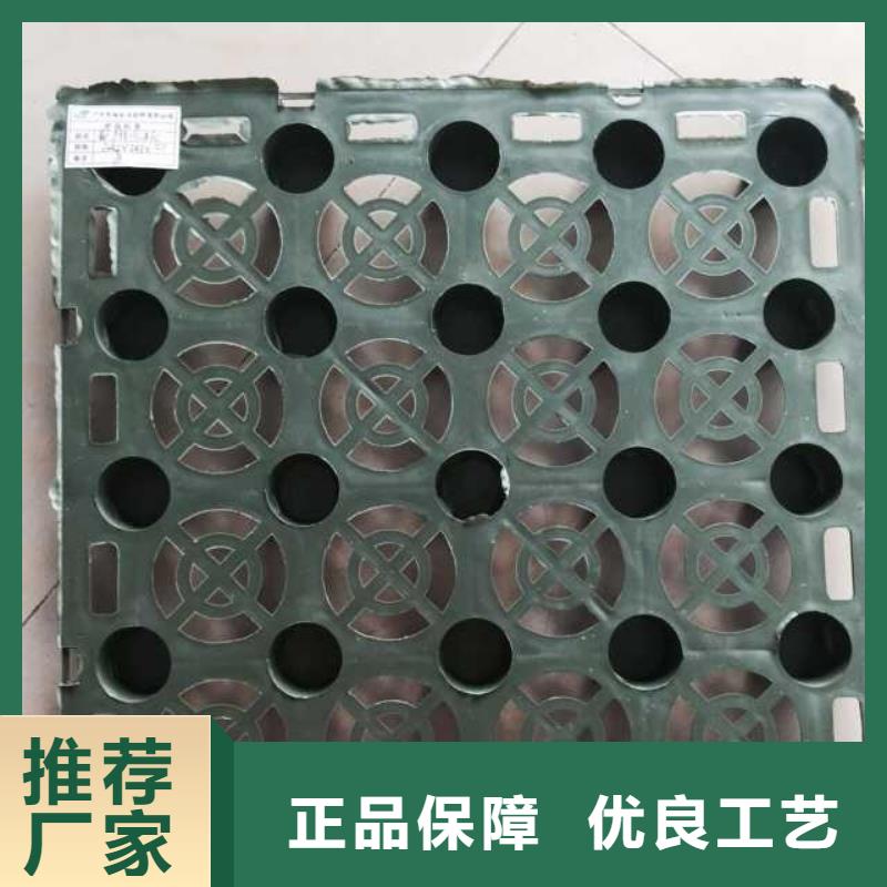 蓄排水板单向塑料土工格栅批发商