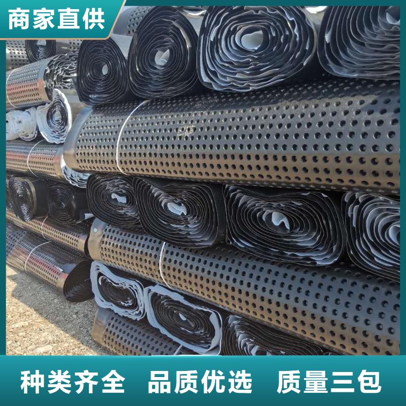 蓄排水板护坡土工网工艺精细质保长久