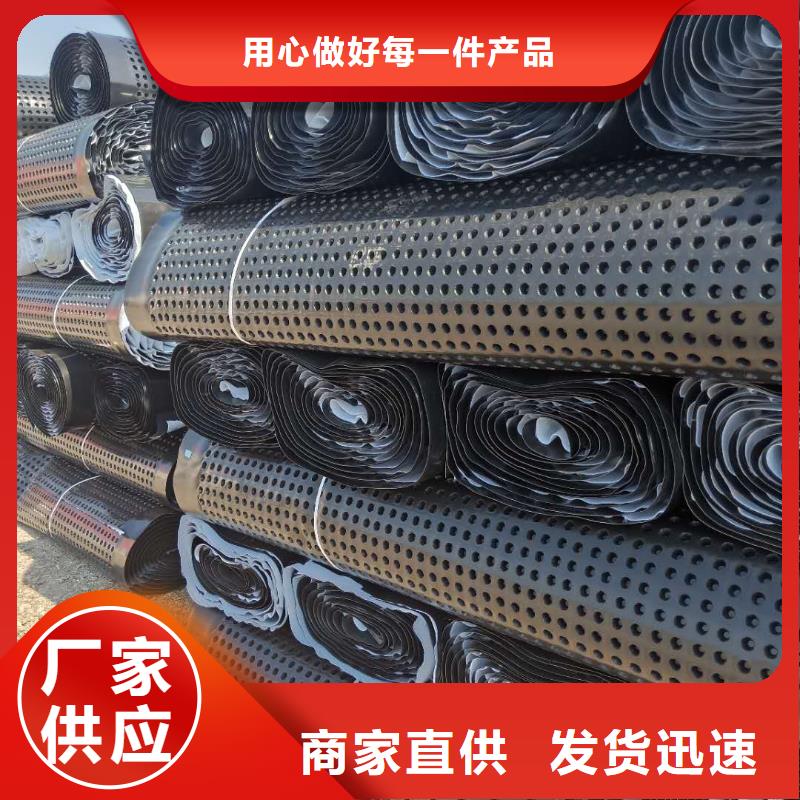 蓄排水板土工席垫现货销售
