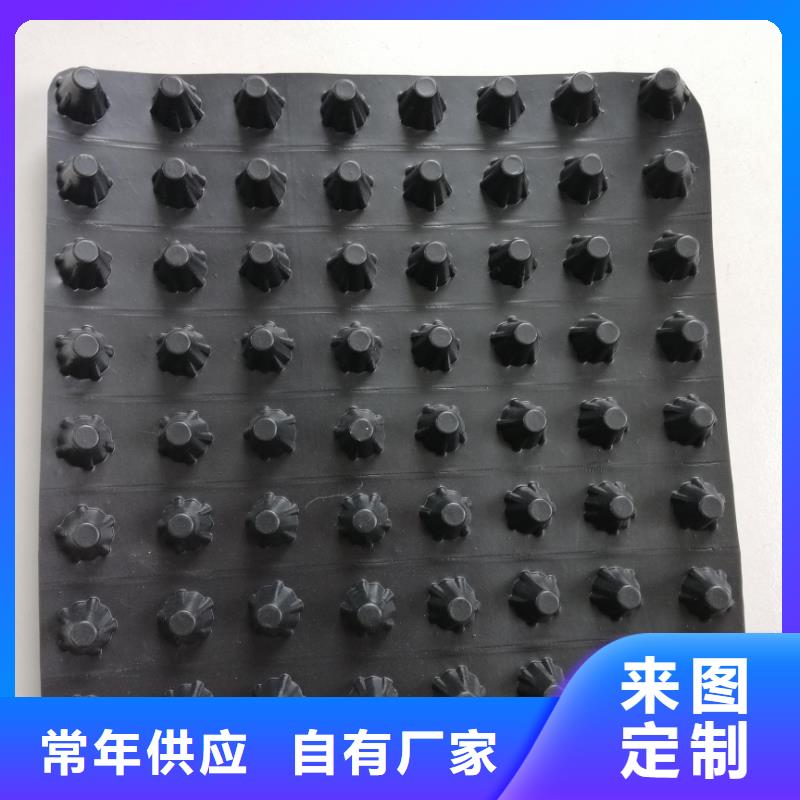 蓄排水板,【三维植被网】厂家货源-鼎诺土工材料(嘉兴市分公司)