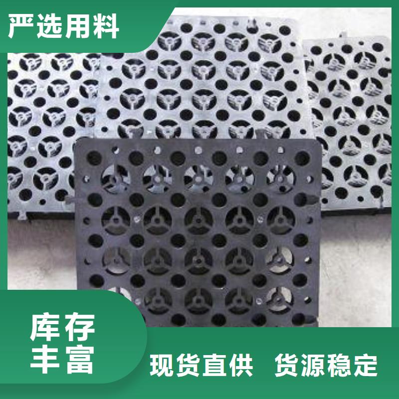 蓄排水板-钢塑土工格栅诚信经营质量保证