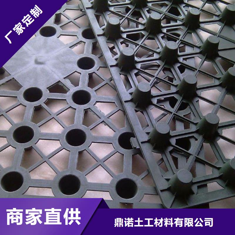 蓄排水板_双向拉伸土工格栅实体厂家大量现货