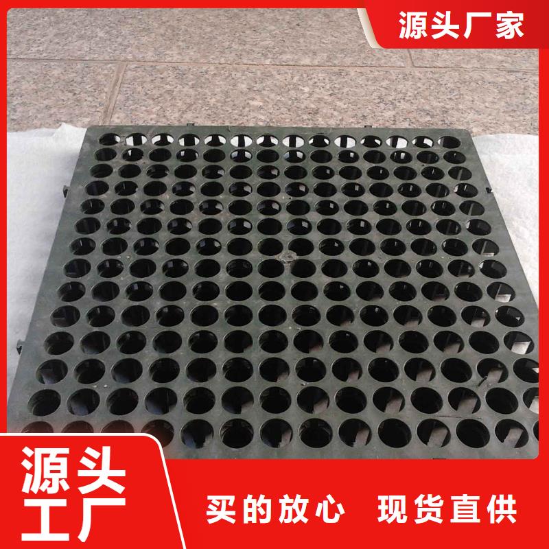 蓄排水板土工格室好产品好服务