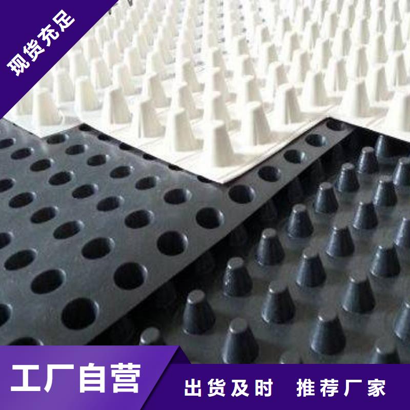 单向塑料土工格栅视频-单向塑料土工格栅-鼎诺土工材料(毕节市分公司)服务区域赫章|大方|黔西南|六盘水|铜仁|遵义|黔南|贵阳