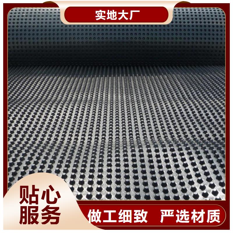 蓄排水板三维植被网研发生产销售