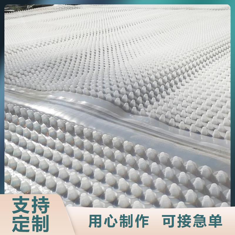 蓄排水板,【三维植被网】厂家货源-鼎诺土工材料(嘉兴市分公司)