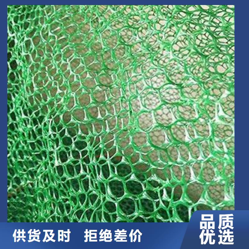 【三维植被网】-塑料盲沟真材实料诚信经营-鼎诺土工材料(临沂市分公司)|覆盖地域费县|苍山|枣庄|莱芜|烟台|菏泽