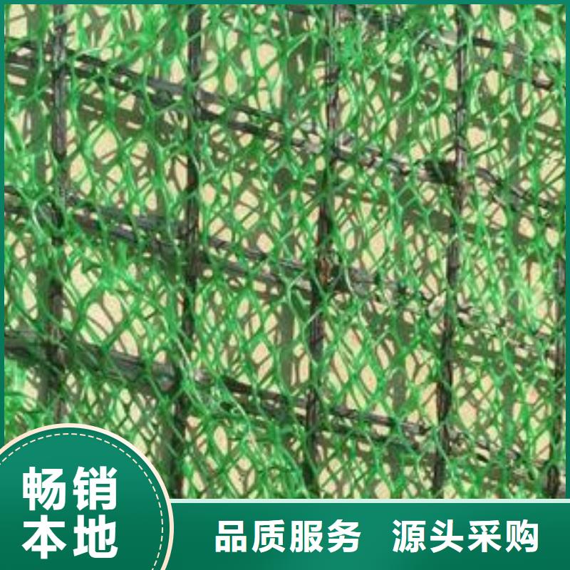 三维植被网-复合土工膜厂家现货供应