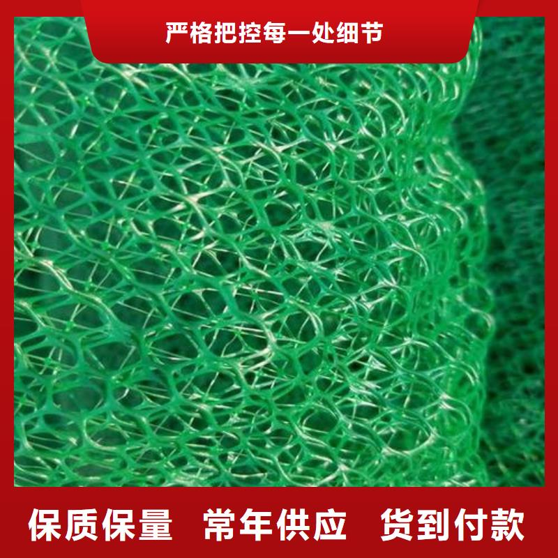 三维植被网-复合土工膜厂家现货供应