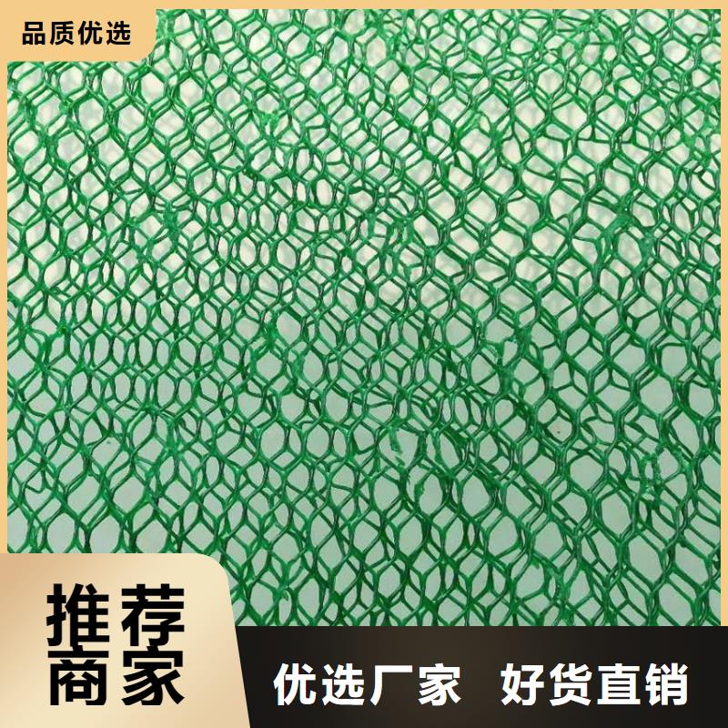 三维植被网钢塑土工格栅源头厂家量大价优