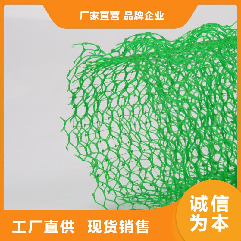 单向塑料土工格栅视频-单向塑料土工格栅-鼎诺土工材料(靖江市分公司)服务区域兴化|海陵|姜堰|泰兴|高港