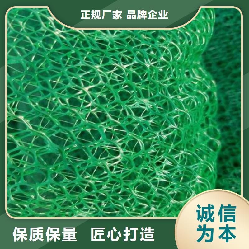 三维植被网_【短丝土工布】用心经营鼎诺单向塑料土工格栅
