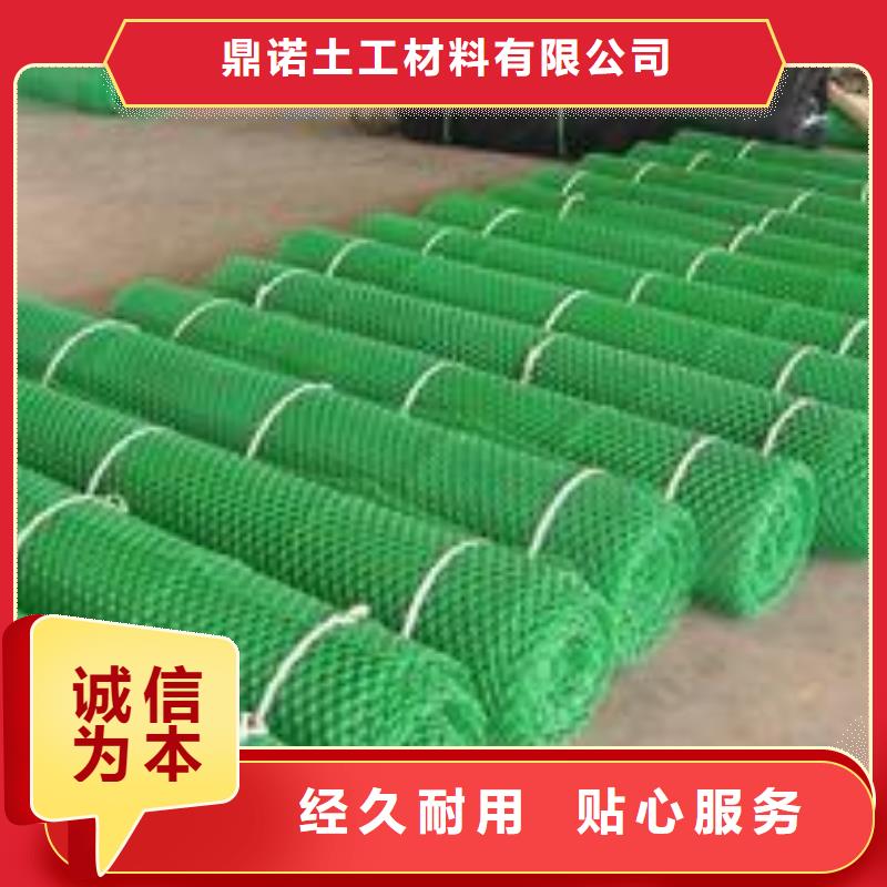 三维植被网长丝土工布免费询价