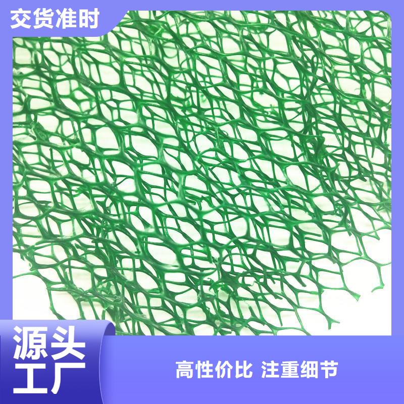 三维植被网土工席垫一站式服务