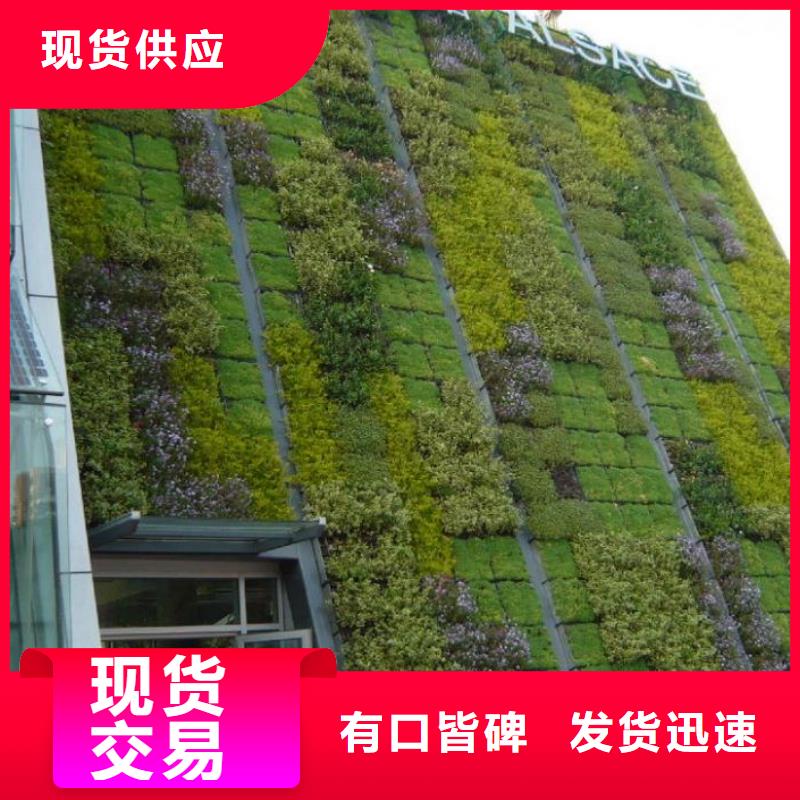 三维植被网双向塑料土工格栅质检严格放心品质