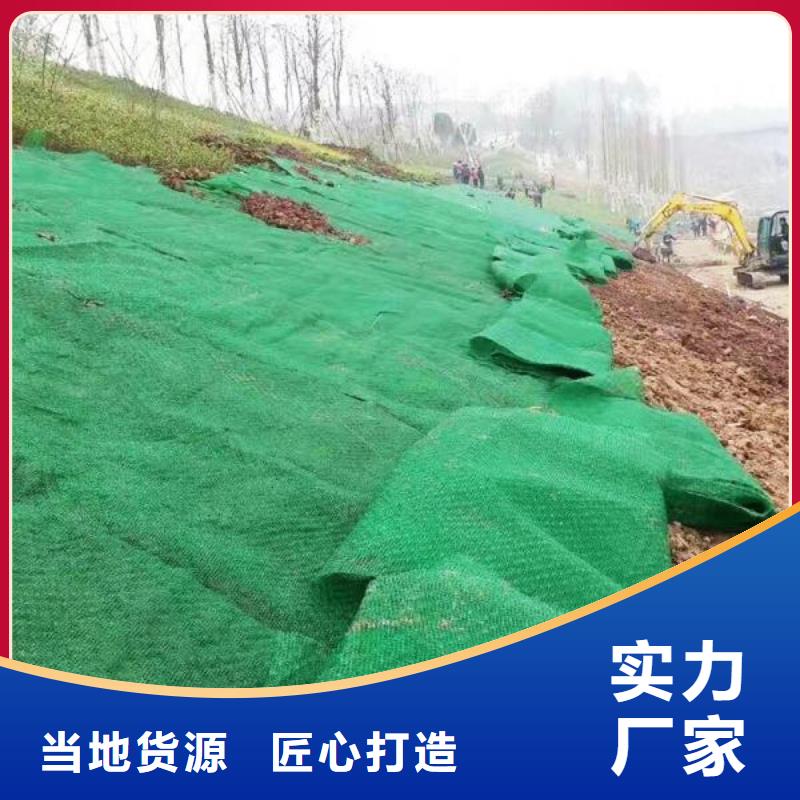 三维植被网土工格室物美价优