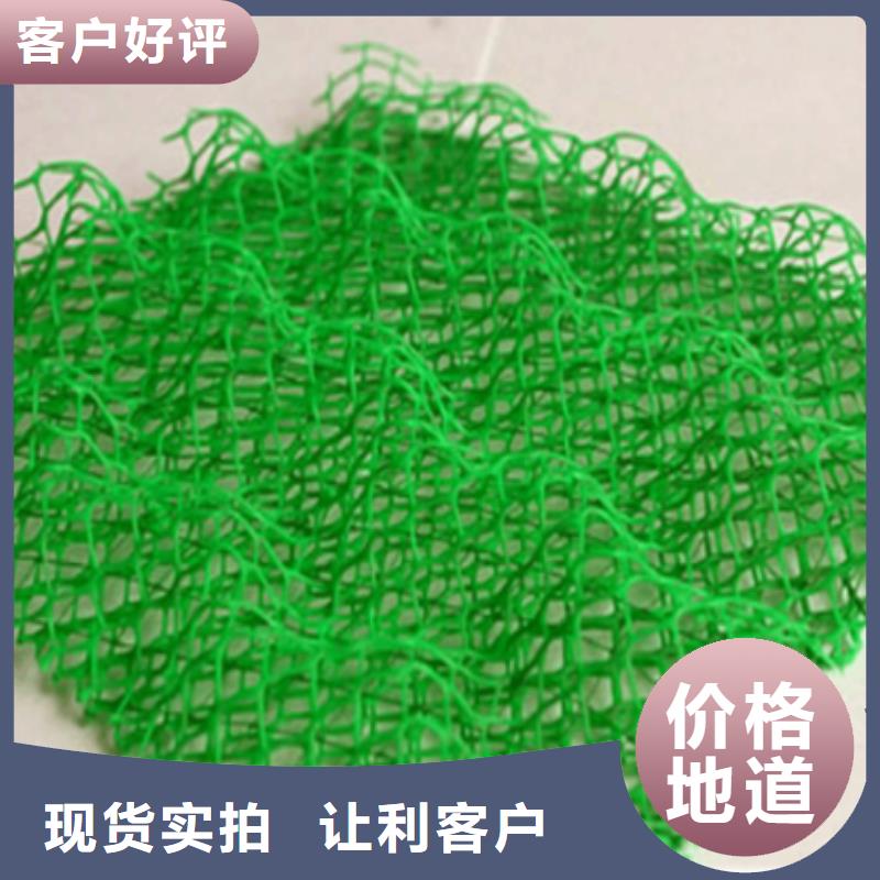 三维植被网塑料盲沟客户信赖的厂家