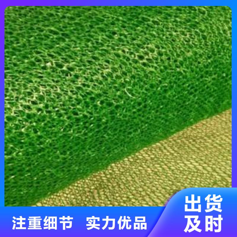 三维植被网-软式透水管品质过硬
