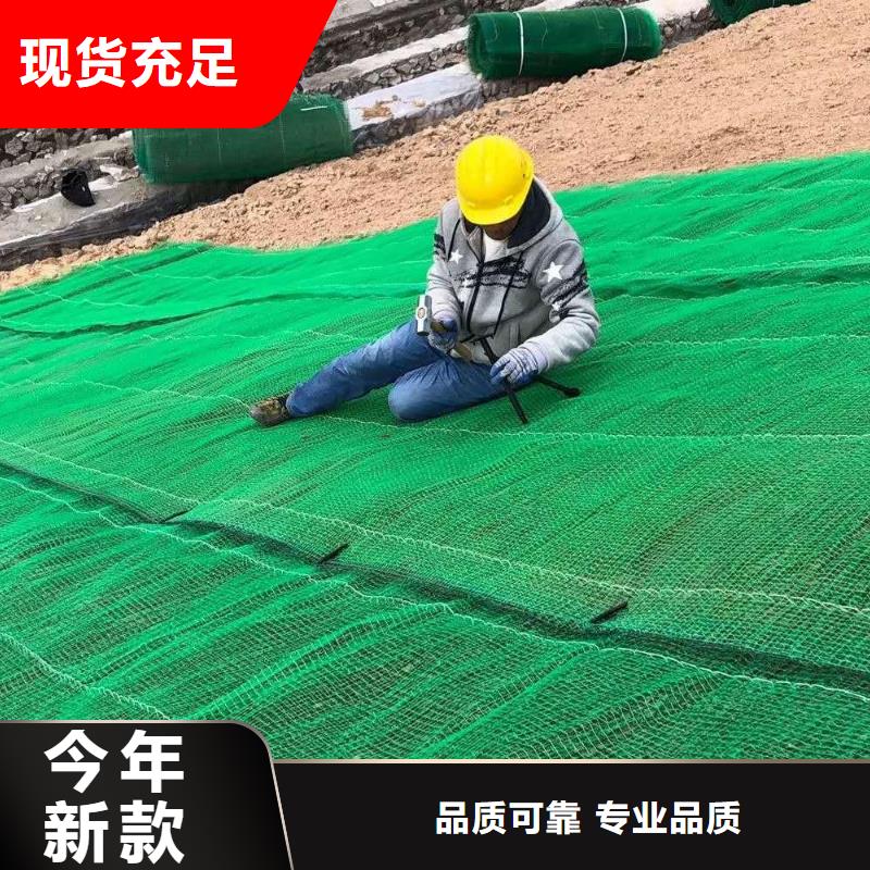 三维植被网玻纤土工格栅现货销售