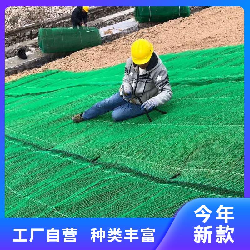 三维植被网-复合土工膜厂家现货供应