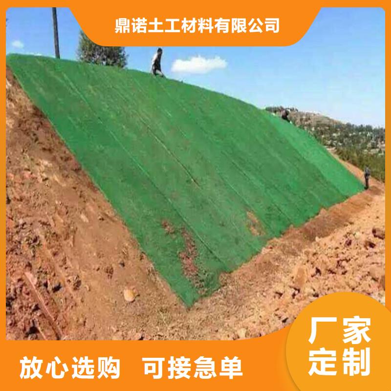 三维植被网土工格室物美价优