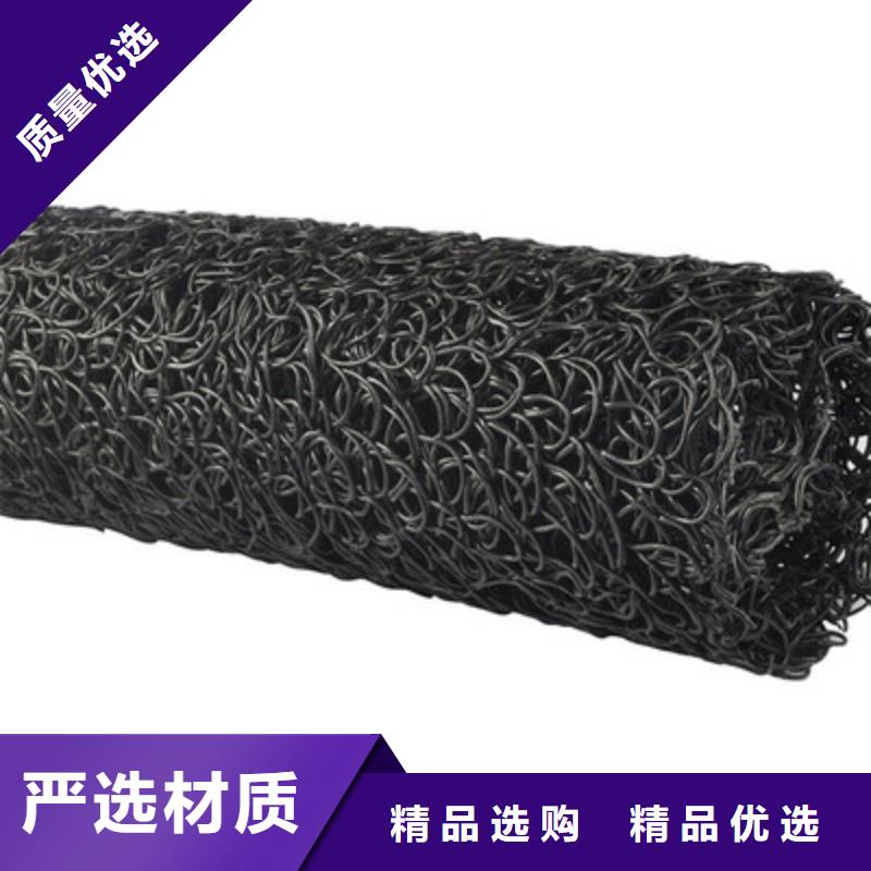 塑料盲沟三维复合排水网工厂直销
