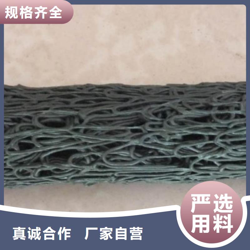 塑料盲沟三维复合排水网工厂直销