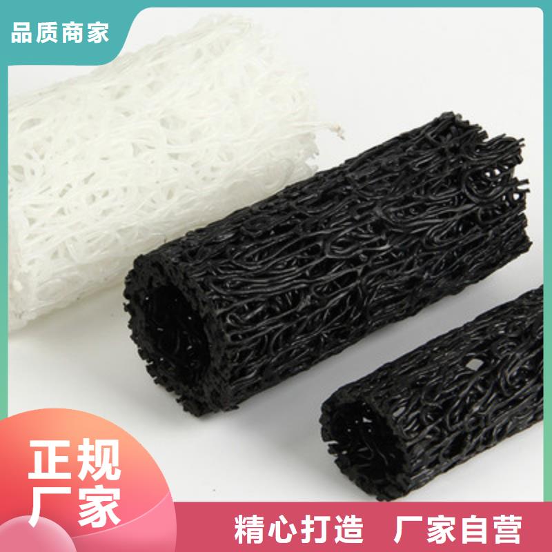 【 塑料盲沟单向拉伸塑料格栅订制批发】|单向塑料土工格栅-鼎诺土工材料(宁波市分公司)